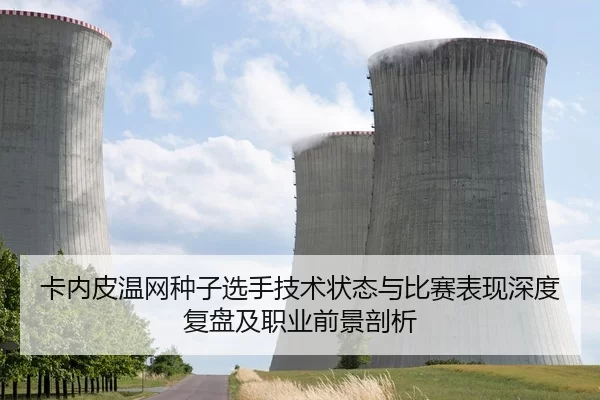 卡内皮温网种子选手技术状态与比赛表现深度复盘及职业前景剖析