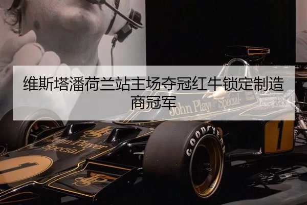 wei-si-ta-pan-he-lan-zhan-zhu-chang-duo-guan-hong-niu-suo-ding-zhi-zao-shang-guan-jun-3-902.jpg